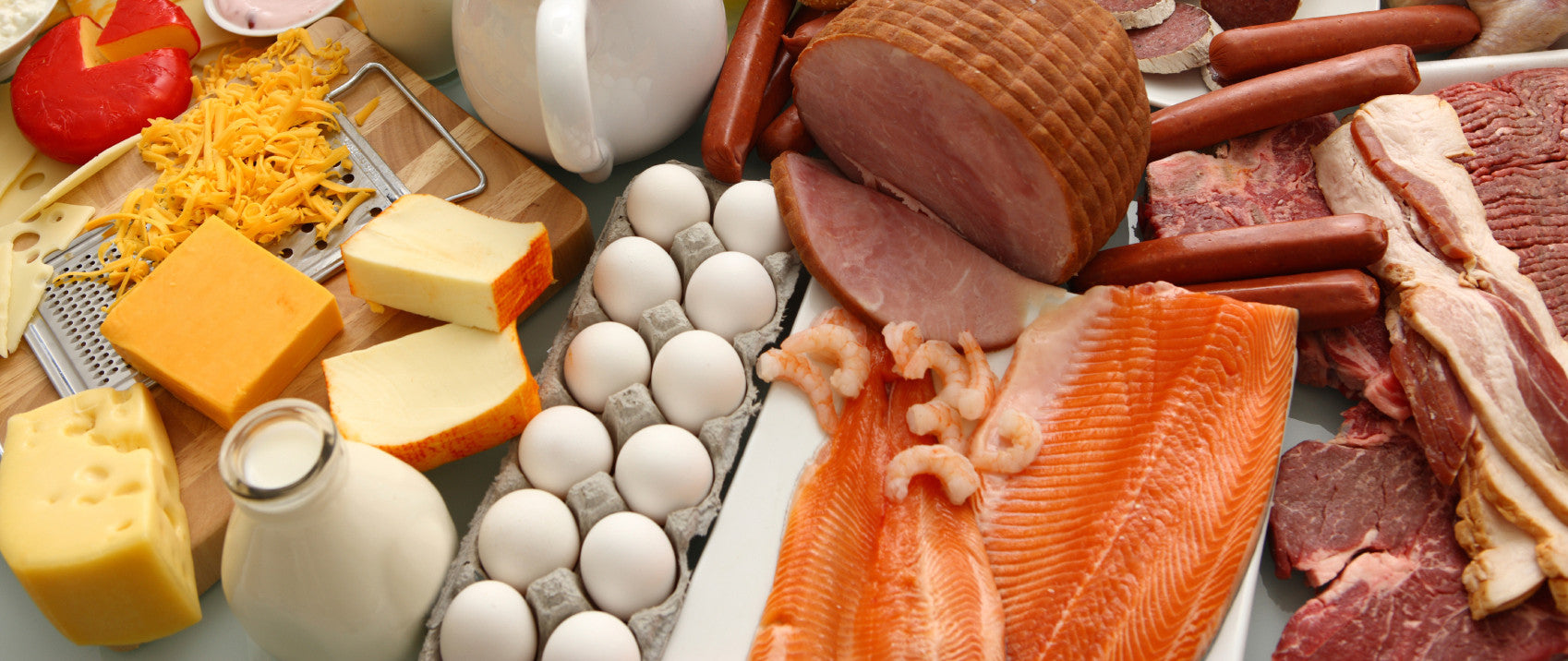 What are the Best High Protein Foods?